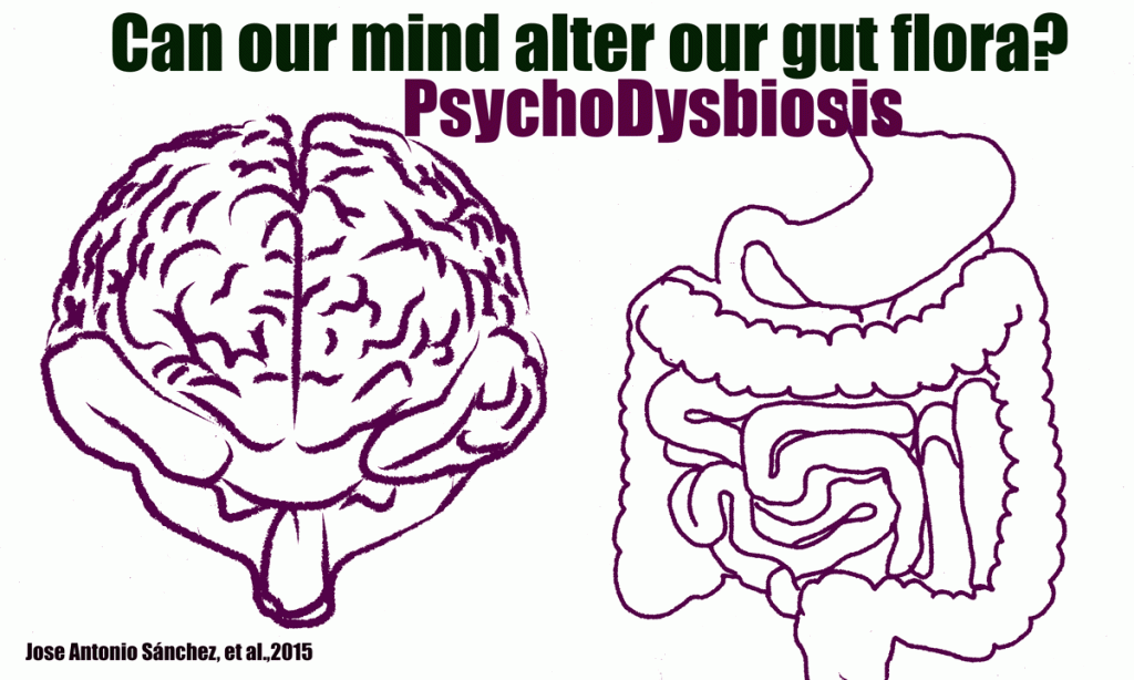 La psicodisbiosis (Psychodysbiosis) un nuevo término en la salud intestinal